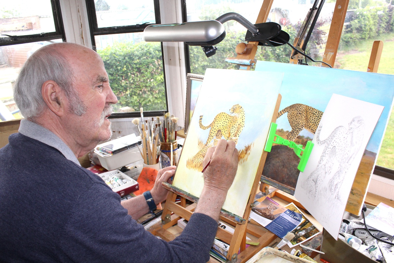 George Kitching painting a cheetah at his easel in his studio