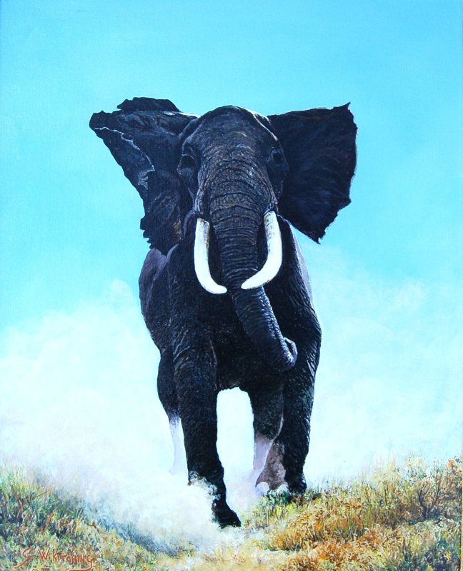 Charging Bull Elephant, oil on board painting by George Kitching
