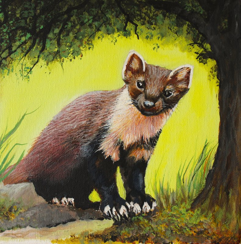 Pine Marten, oil on canvas painting by George Kitching